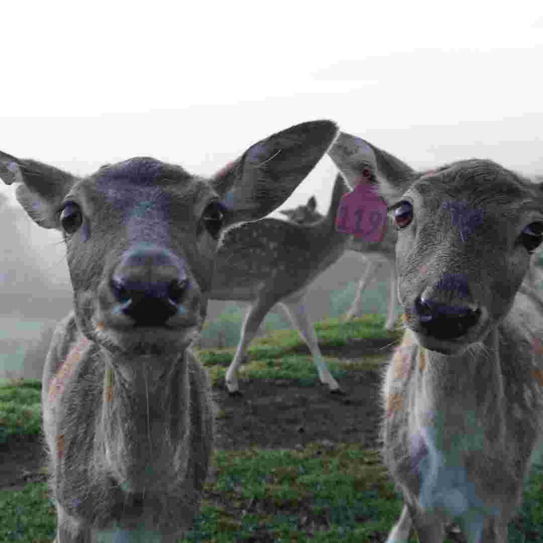 placeholder image-sq