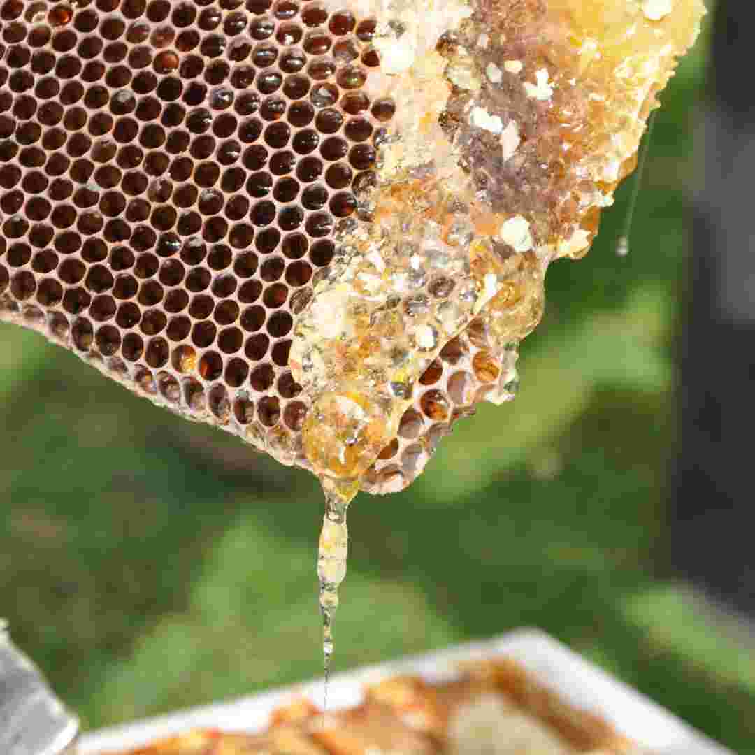 placeholder image-sq