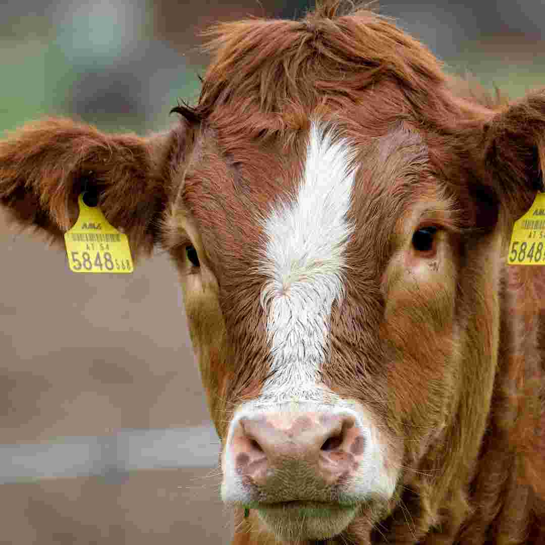 placeholder image-sq